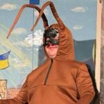 The Nit - James Stevens